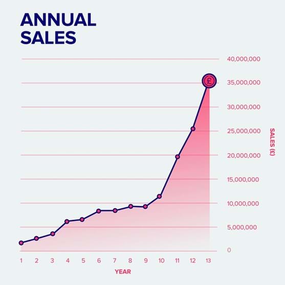 A graph of the annual turnover of one of our clients over a thirteen-year period