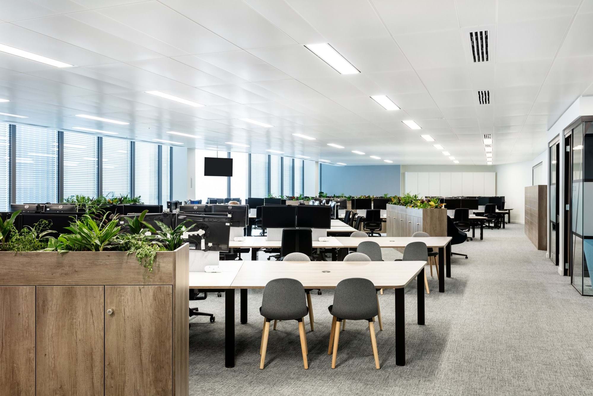 Modus Workspace office design, fit out and refurbishment - Insurance and Risk Management Firm - Modus_Verisk_Day2-7.jpg