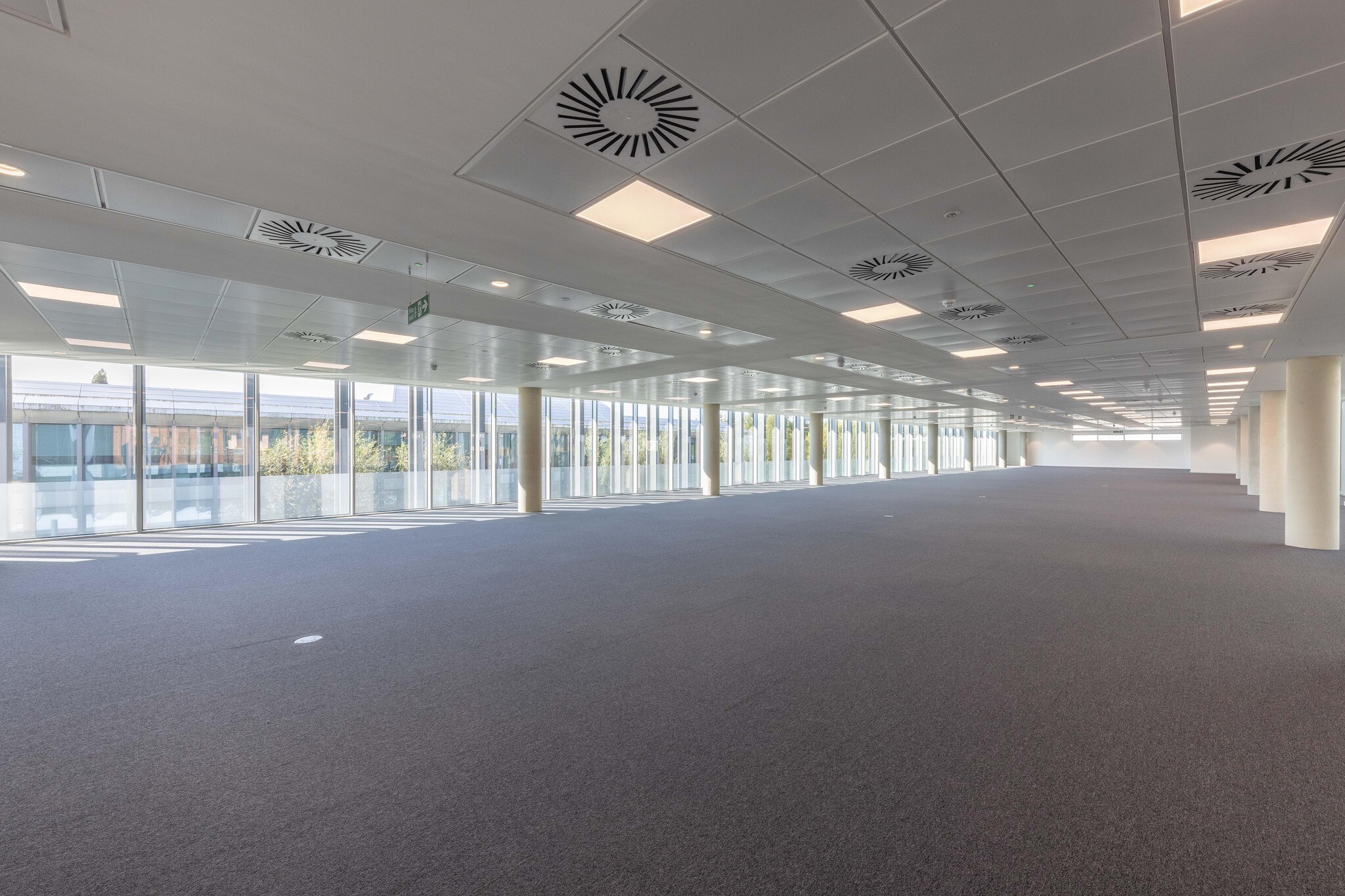 Expansive office space at The Dock, featuring ceiling lighting and floor-to-ceiling windows.