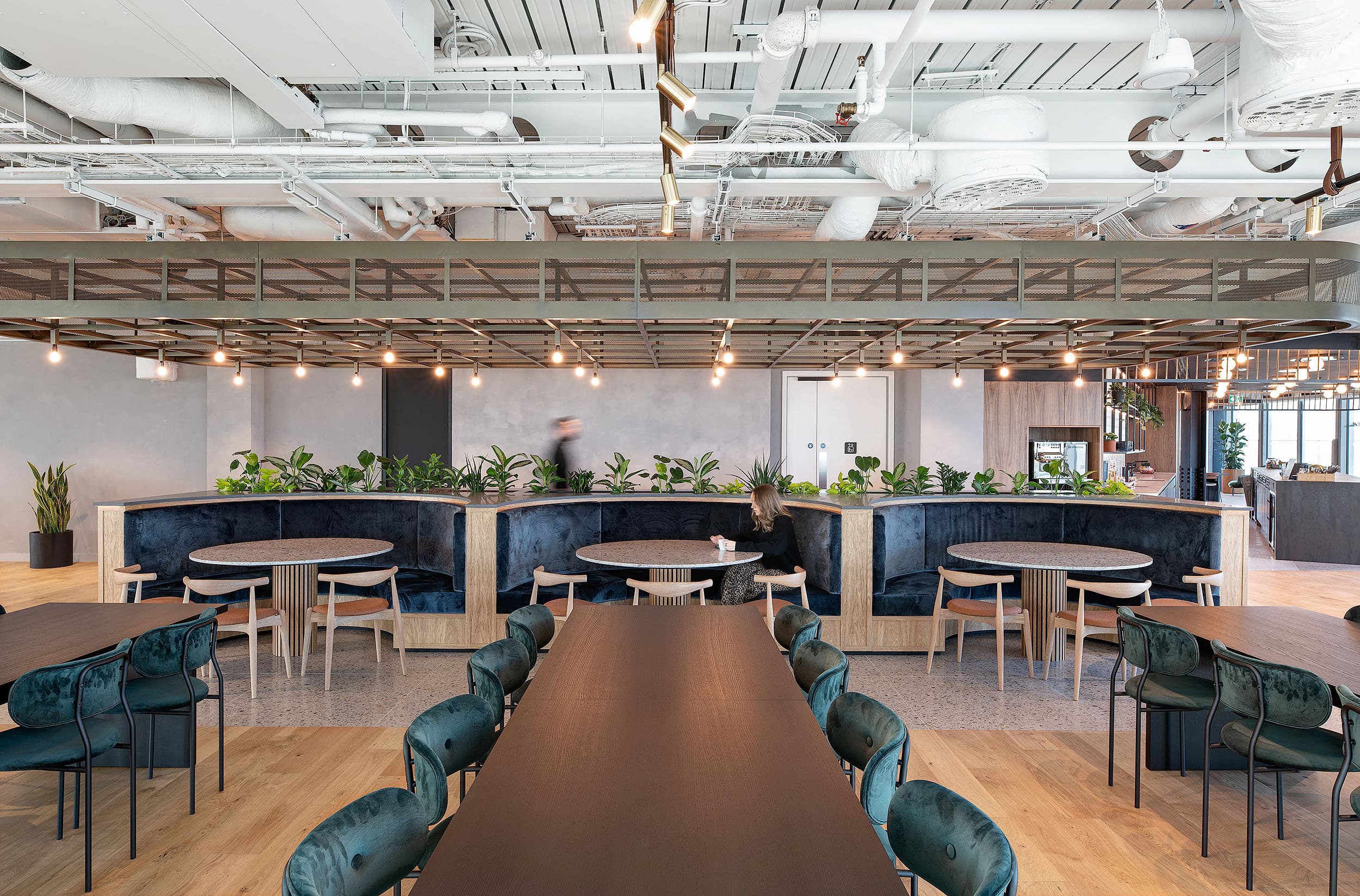 Open-plan workspace for an International Technology & Data Firm, featuring modern communal seating areas with velvet chairs, curved booths, and integrated greenery.