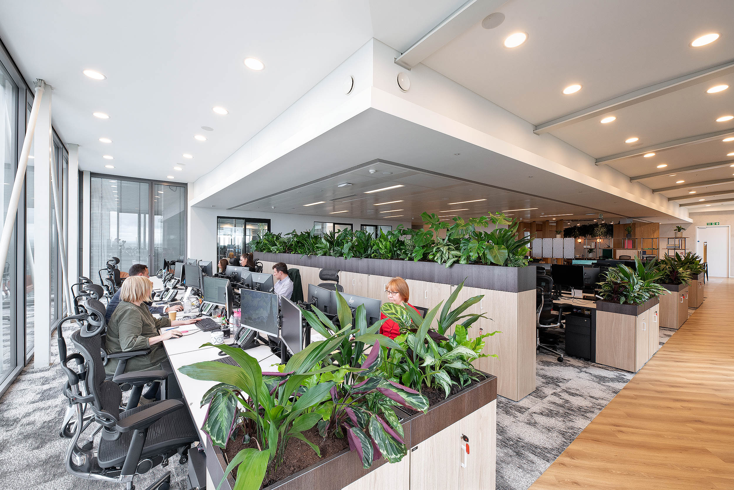 AMC Group’s open-plan office area with workstations and biophilic design elements, including built-in planters.