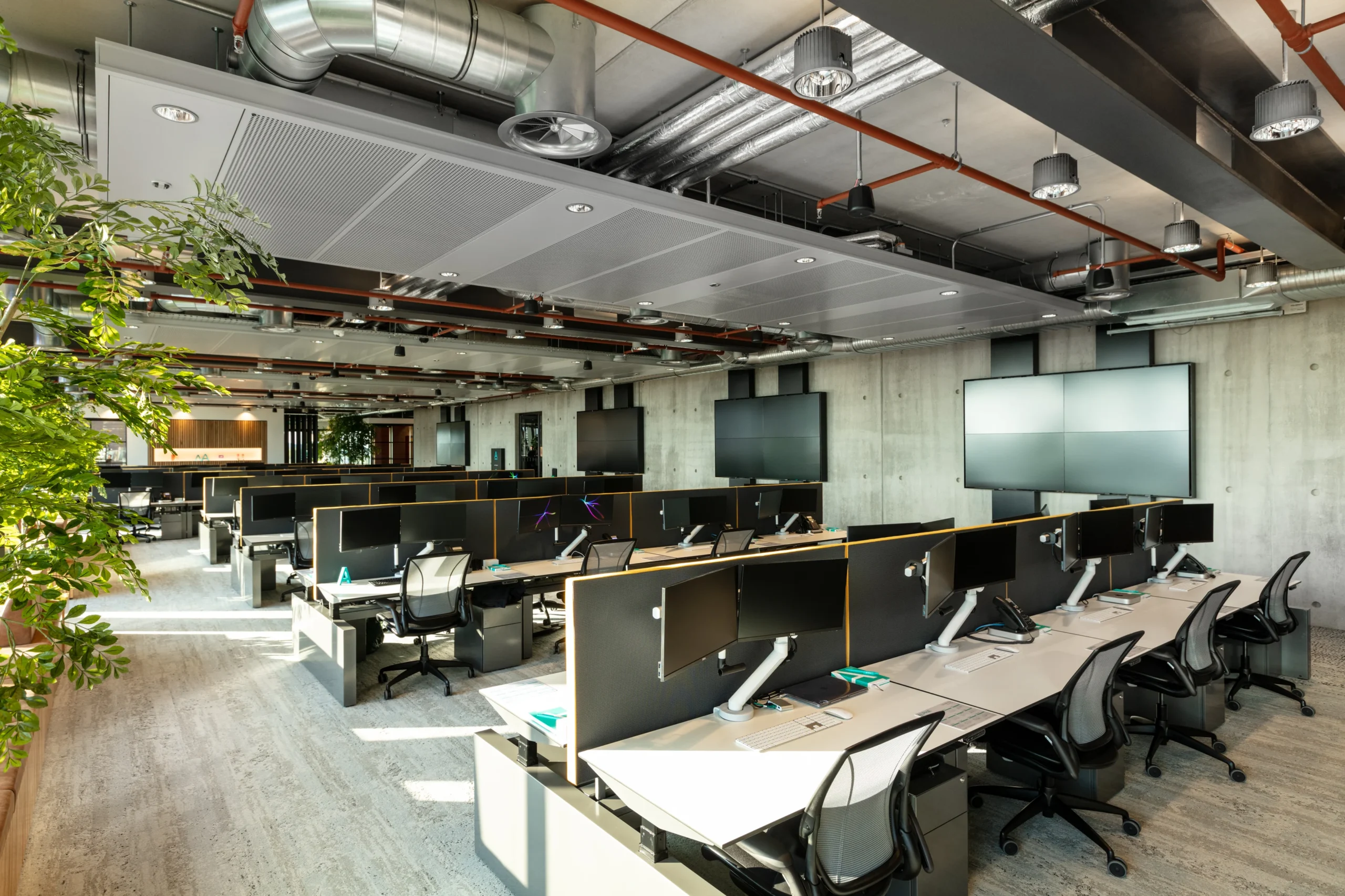 Alpha FX open-plan workspace with double screens, exposed infrastructure and green biophilic plants