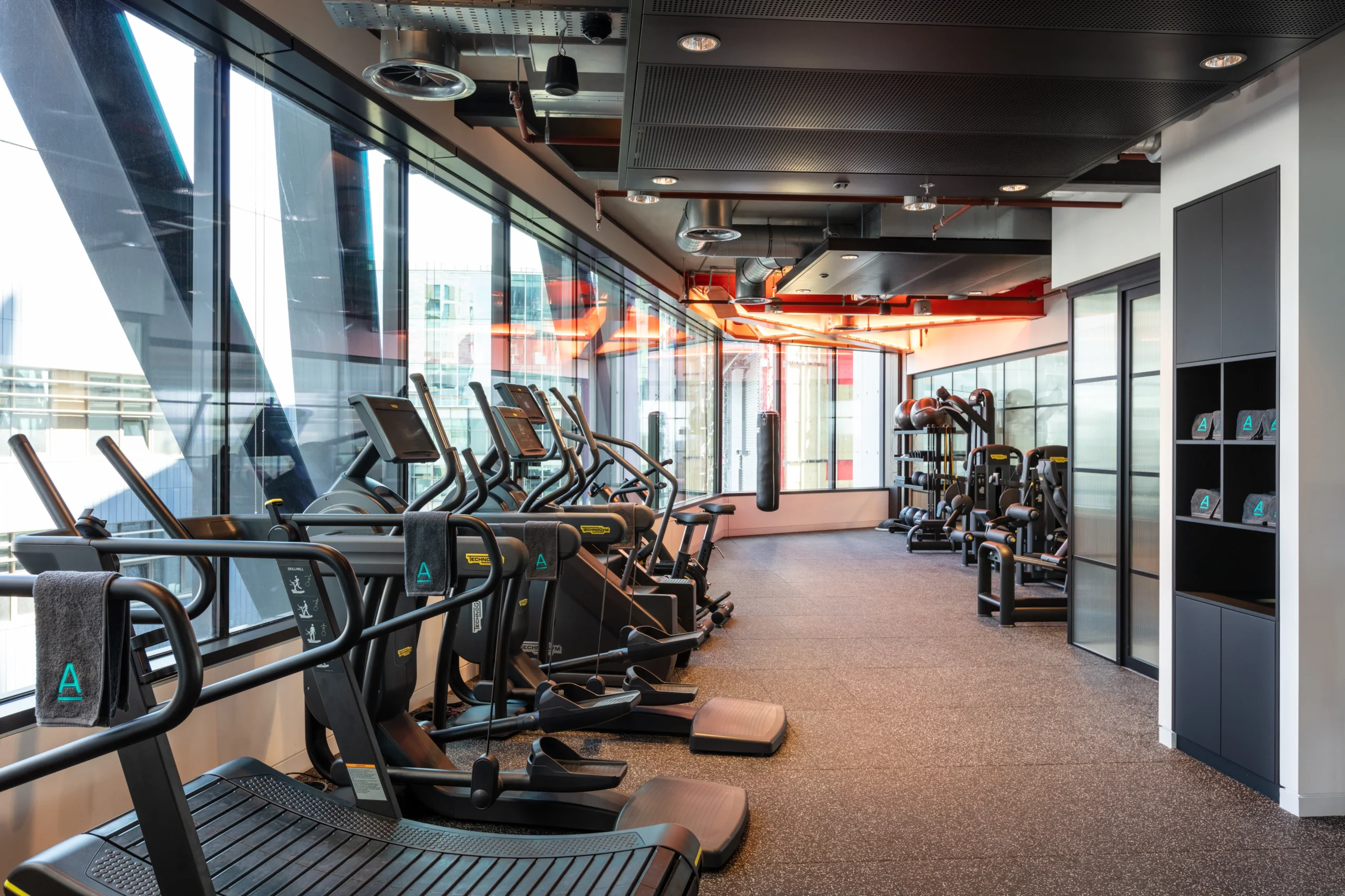 Alpha FX gym branded on all towels and equipment, within the workspace.
