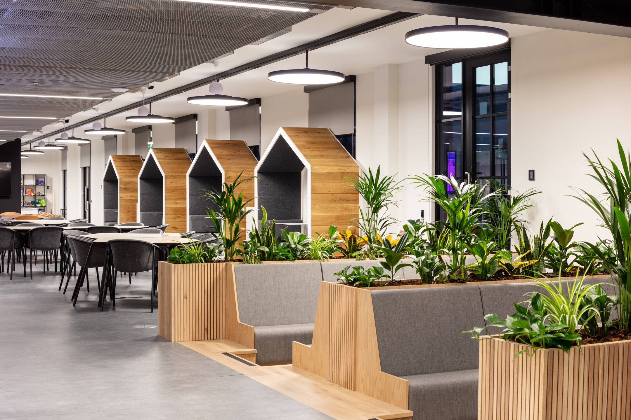 An innovative workspace featuring semi-private booths shaped like houses, surrounded by a variety of potted plants. The area is designed for collaboration and privacy, with modern furniture and ambient lighting that create a welcoming environment for work.