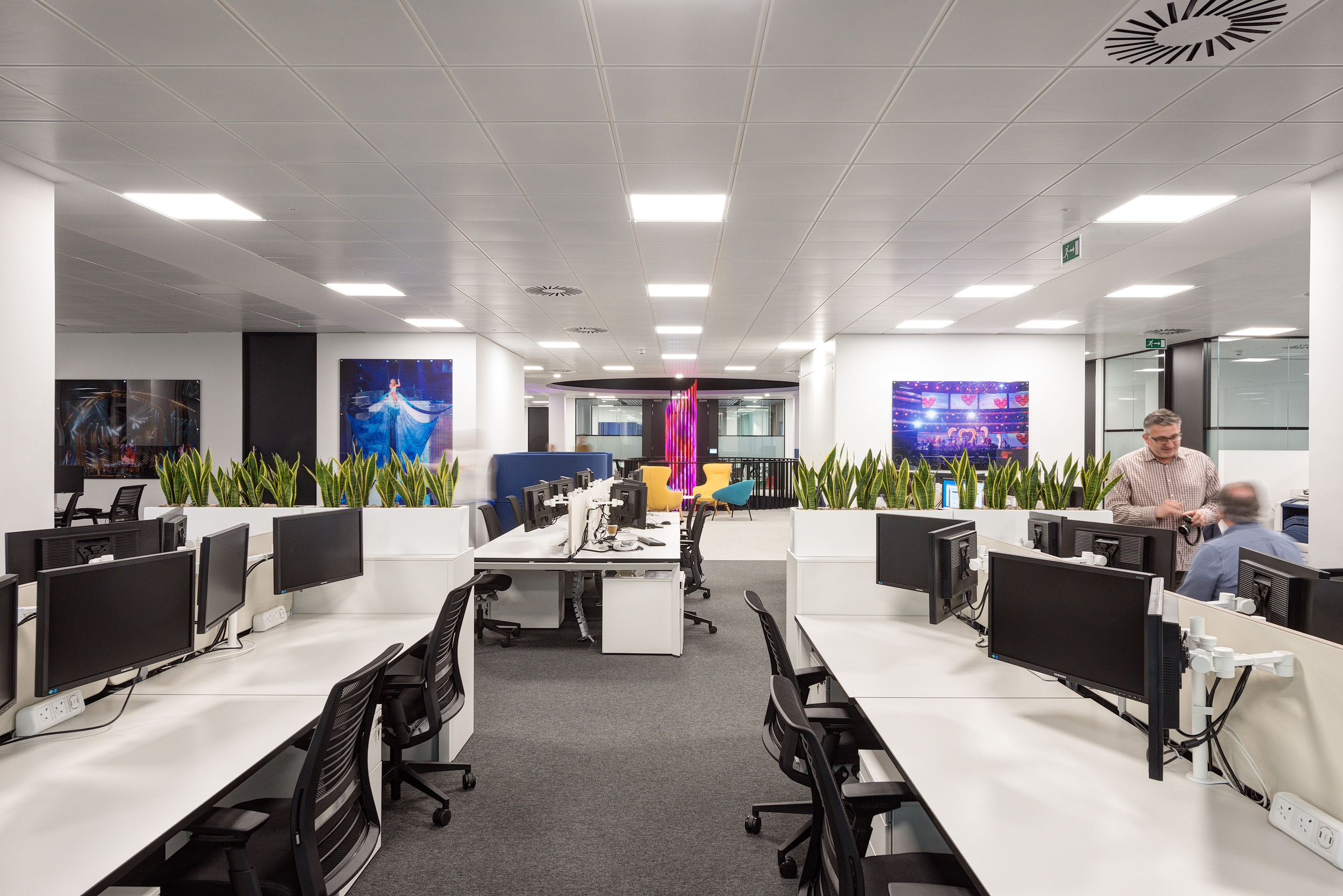 An open-plan workspace at Harman’s office featuring white desks with multiple display screens, separated by plant dividers.