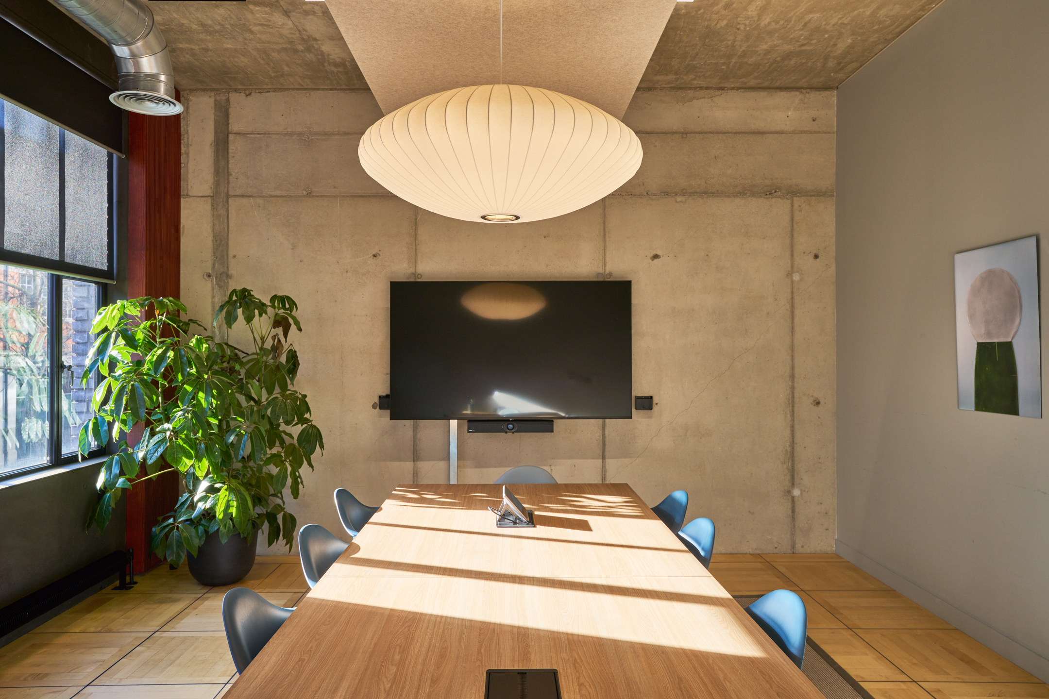 Joseph Joseph meeting room with large open windows, oak flooring and meeting room. A large plant occupies the space.