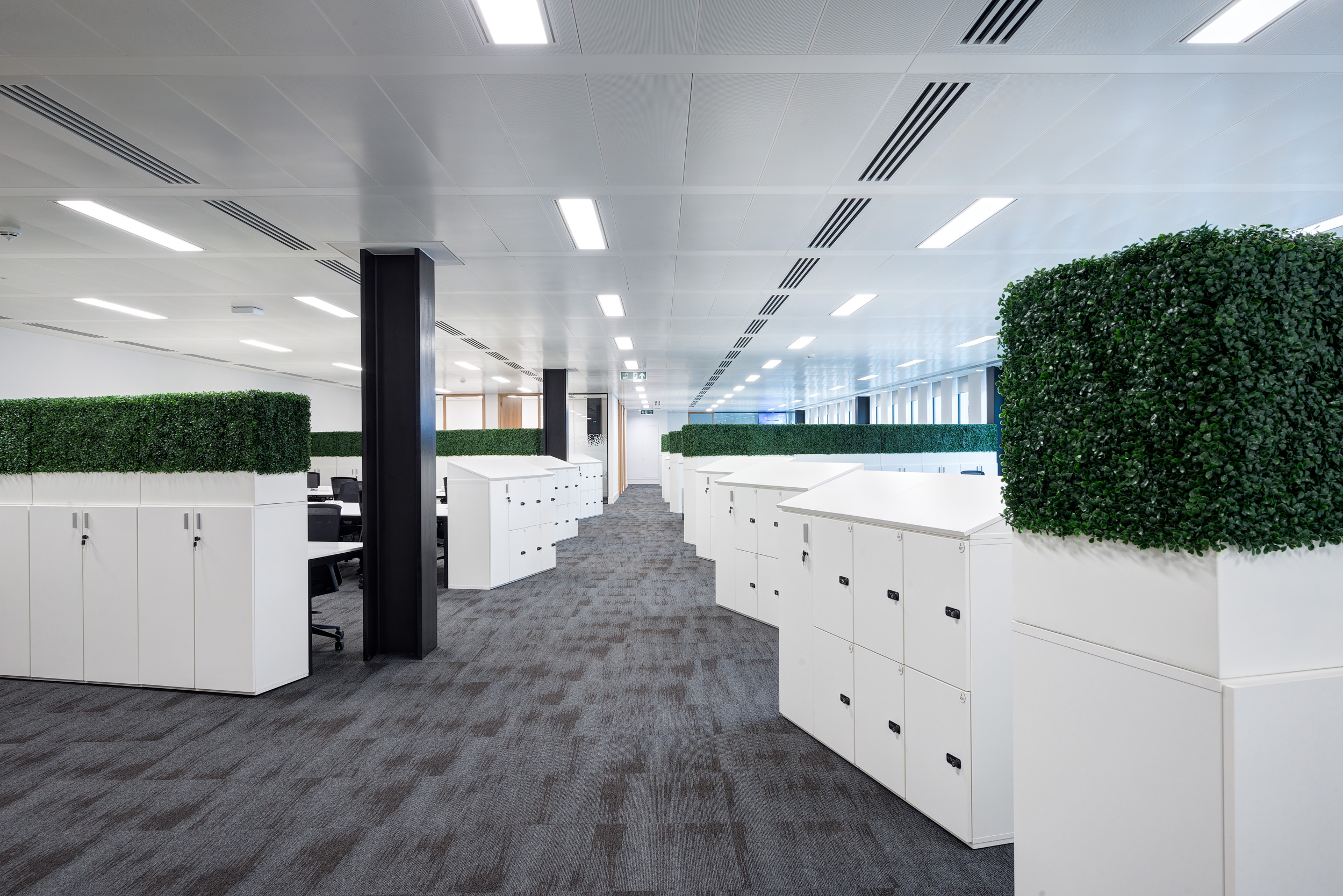 William Hill's office, designed by Modus Workspace, features a clean and organised layout, with white lockers and greenery, creating a calm and productive work environment.