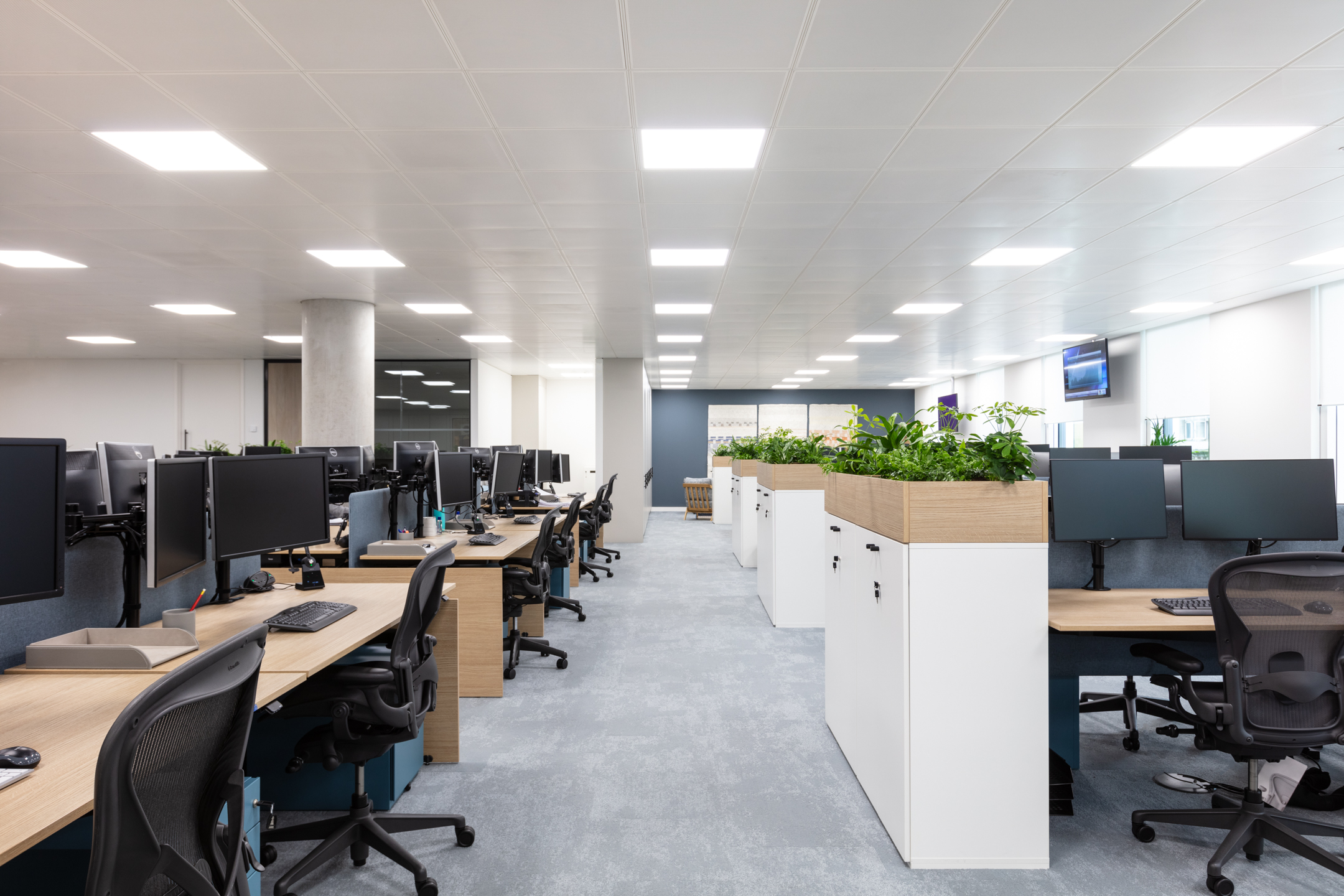 Asset Management Firm Floor 3 open-plan workspace with large screens, plotted plants and a light oak finish.