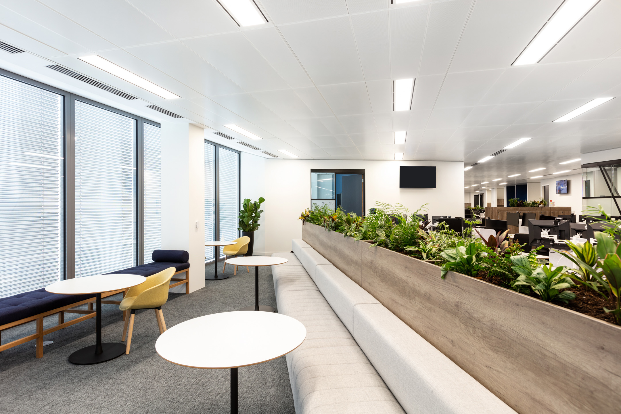 Planters separated the breakout area from the workstations at the Insurance and Risk Management Firm in Bishopsgate.