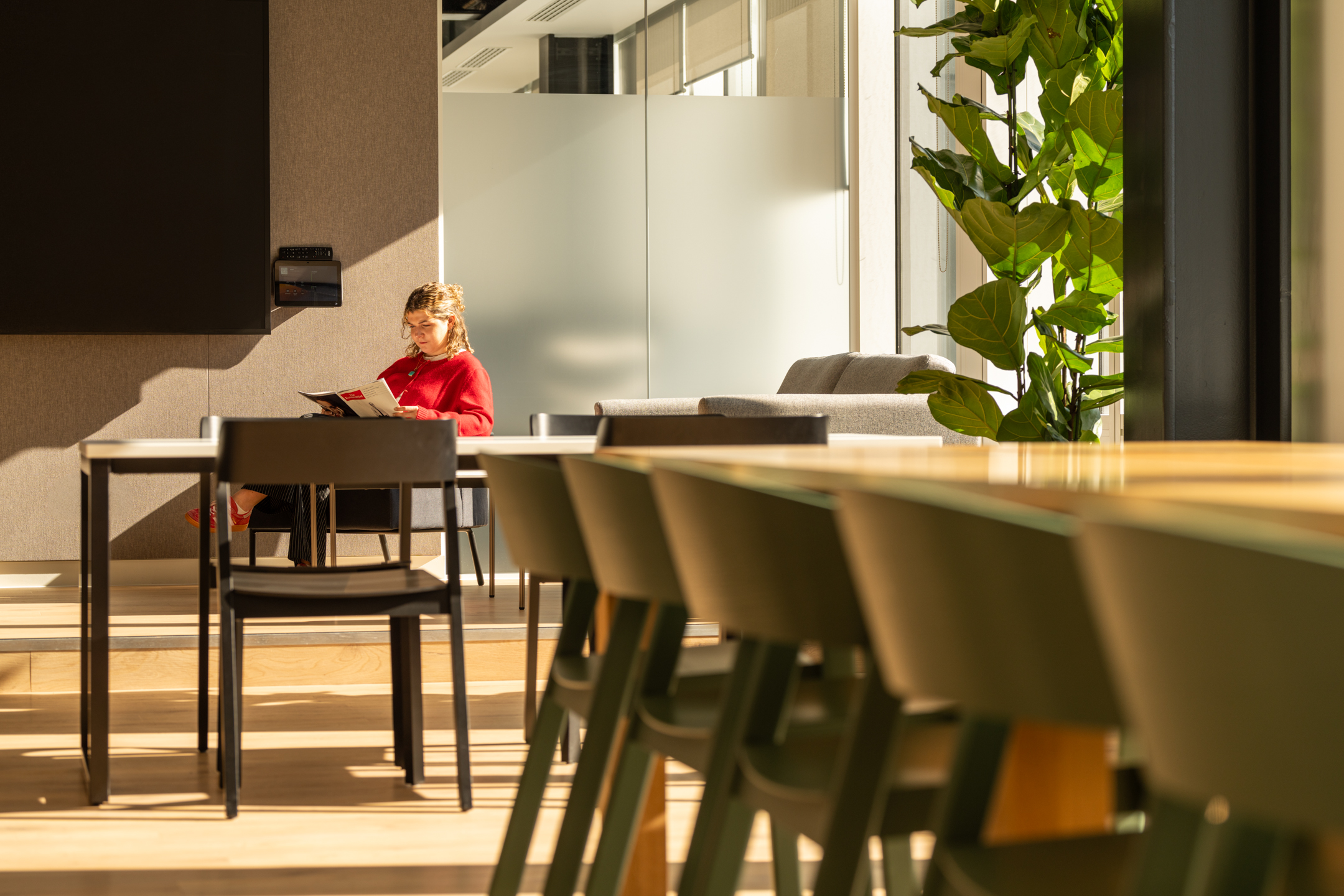 About Us featuring Shionogi workspace seating area, designed by Modus