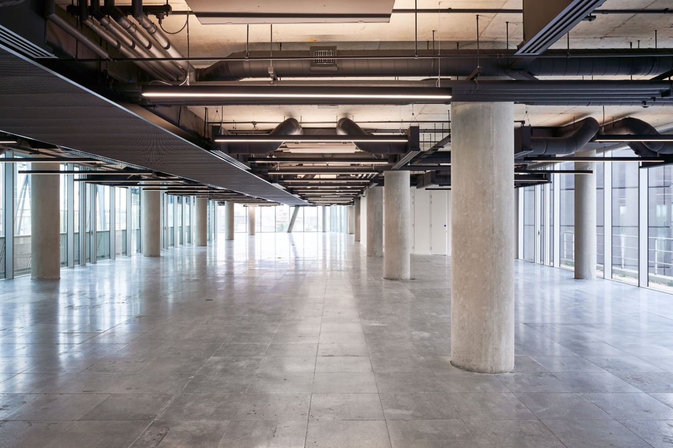 Cat A office fit-out by Modus Workspace featuring an open-plan design with exposed ceilings, concrete pillars, and large floor-to-ceiling windows.