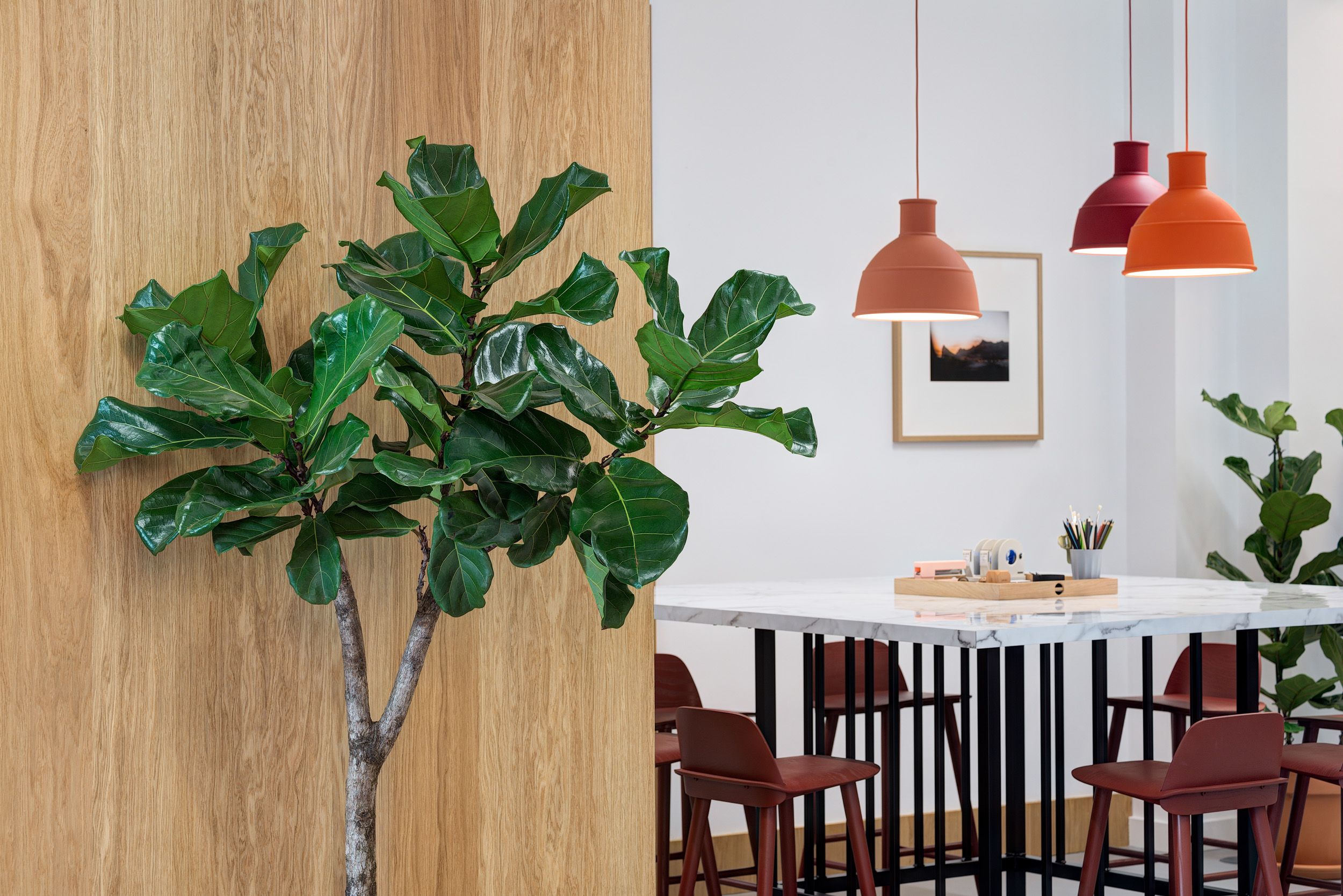 A close-up of a large green plant and a marble-top meeting table with red and orange pendant lights in Spaces Epworth House.