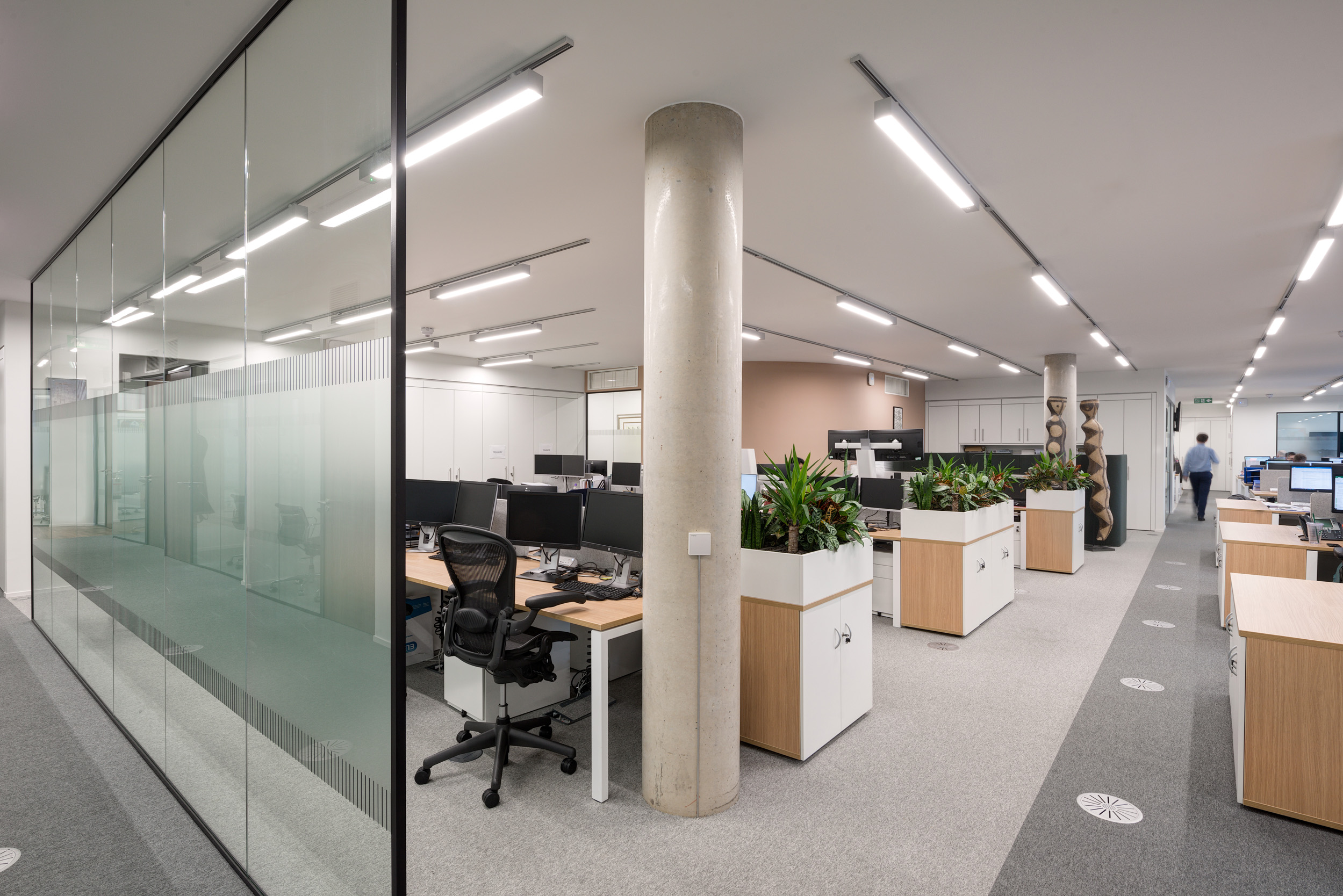First Quantum Minerals open-plan office space with plotted plants, large pillars and desking
