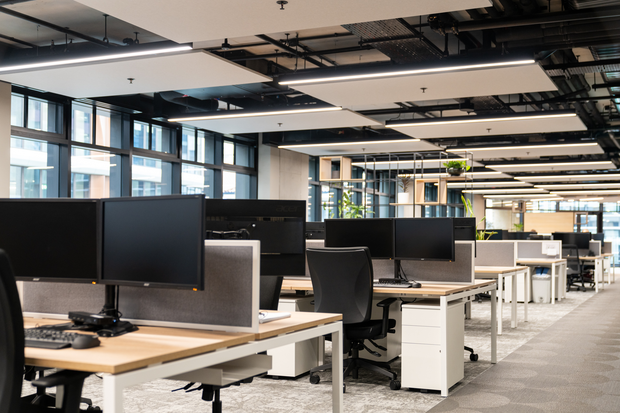 Costello Medical open plan office with large black screens, plotted green plants and white desking.