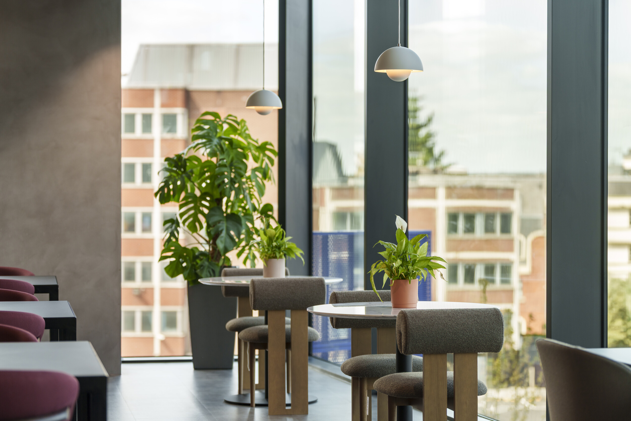 Window seating at Newflex One Station Hill with round tables, upholstered chairs, and indoor plants beside floor-to-ceiling glazing.
